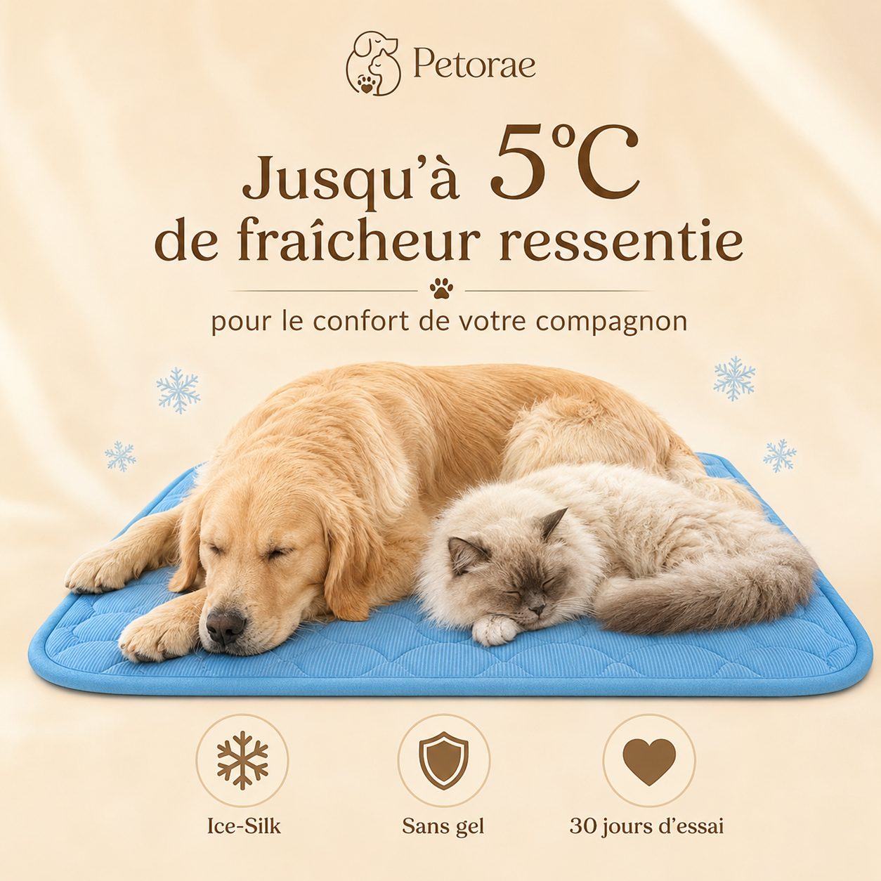 Jusqu'à 5°C de fraîcheur ressentie pour le confort de votre compagnon
