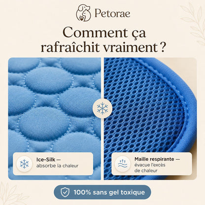 Comment le Tapis Fraîcheur rafraîchit votre animal
